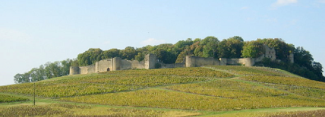 Chteau fort d'Arlay